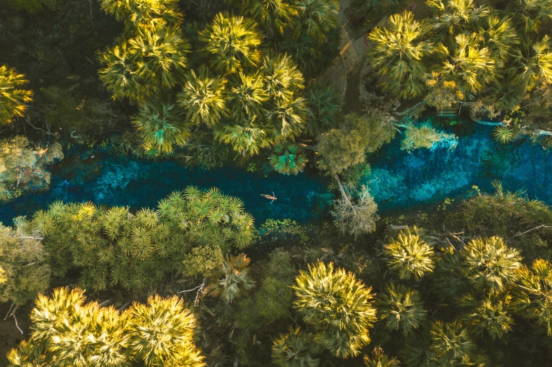 Bird's eye view of Bitter Springs, Northern Territory © Tourism NT/Mitch Cox
