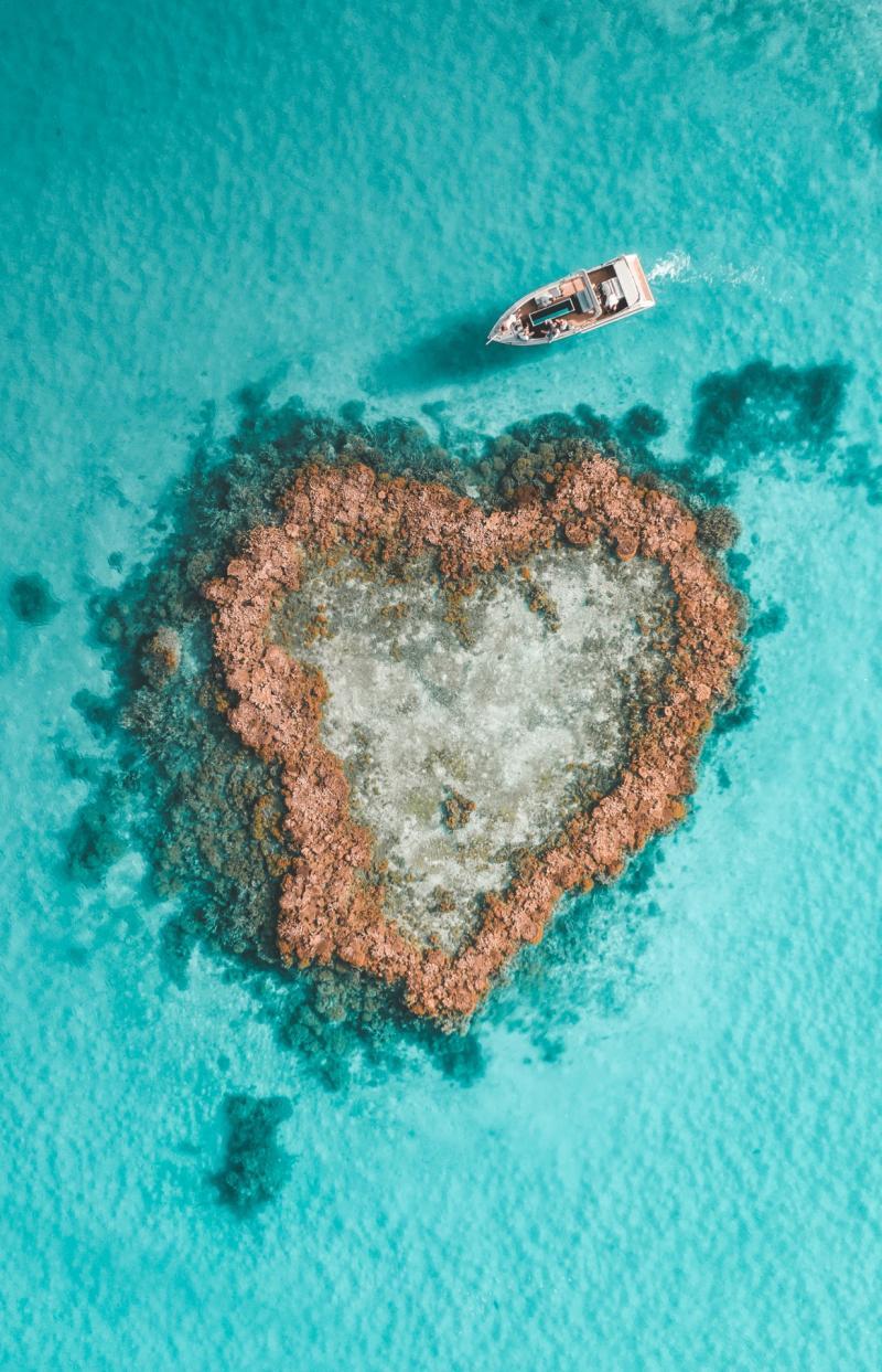 Aerial view of heart reef, Whitsundays, Queensland © Saltywings